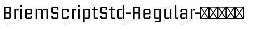 BriemScriptStd-Regular字体转换