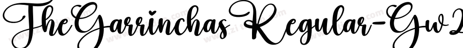 TheGarrinchasRegular-Gw2g字体转换