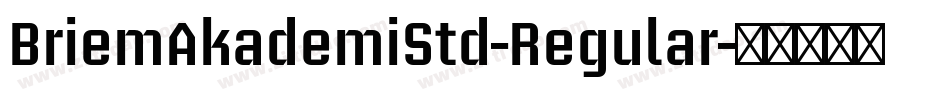 BriemAkademiStd-Regular字体转换