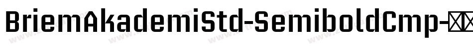 BriemAkademiStd-SemiboldCmp字体转换