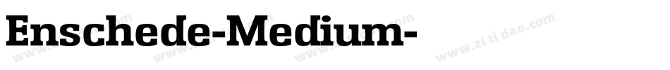 Enschede-Medium字体转换