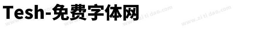 Tesh字体转换
