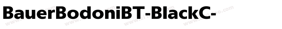 BauerBodoniBT-BlackC字体转换