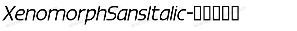 XenomorphSansItalic字体转换 XenomorphSansItalic字体转换