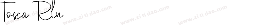 Tosca-8Rln字体转换