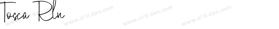 Tosca-8Rln字体转换