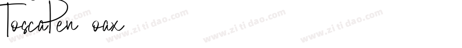 ToscaPen-5oax字体转换