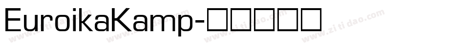 EuroikaKamp字体转换