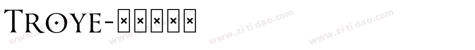 Troye字体转换