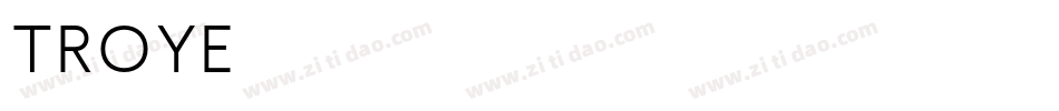 Troye字体转换