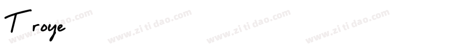 Troye字体转换