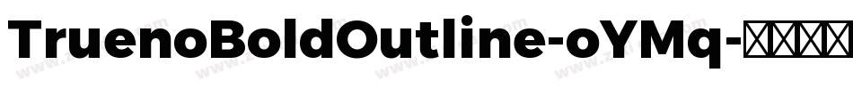 TruenoBoldOutline-oYMq字体转换
