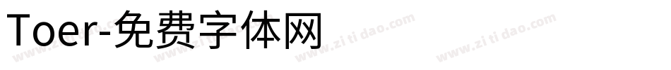 Toer字体转换