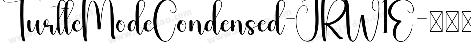 TurtleModeCondensed-JRW1E字体转换