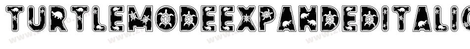 TurtleModeExpandedItalic-owX6V字体转换