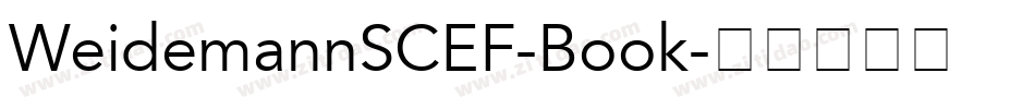WeidemannSCEF-Book字体转换