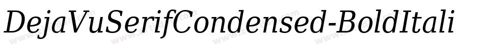 DejaVuSerifCondensed-BoldItalic-20字体转换
