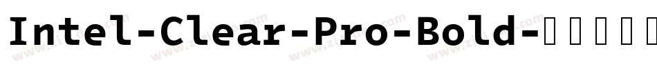 Intel-Clear-Pro-Bold字体转换