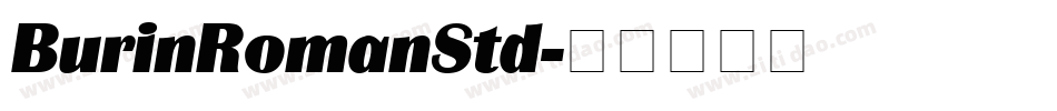 BurinRomanStd字体转换