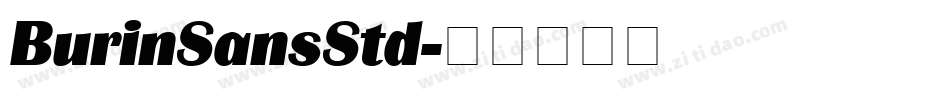 BurinSansStd字体转换