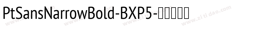 PtSansNarrowBold-BXP5字体转换