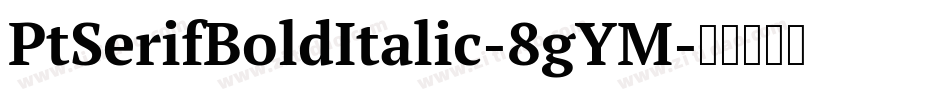 PtSerifBoldItalic-8gYM字体转换