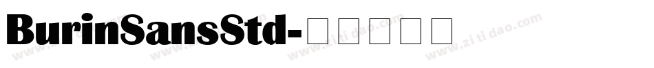 BurinSansStd字体转换