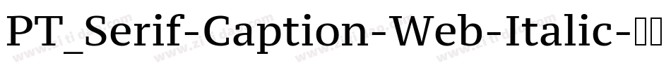 PT_Serif-Caption-Web-Italic字体转换