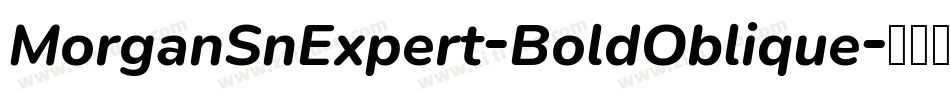 MorganSnExpert-BoldOblique字体转换