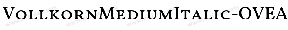 VollkornMediumItalic-OVEAd字体转换