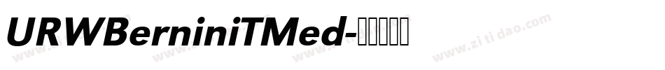URWBerniniTMed字体转换