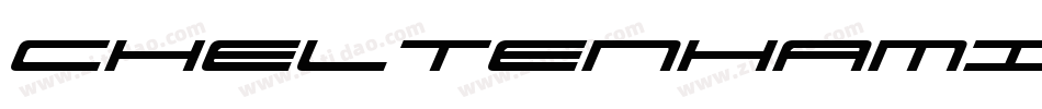 CheltenhamITCConBQ-UltraItalic字体转换