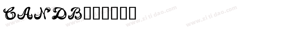 CANDB字体转换