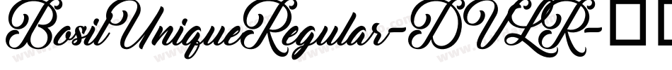 BosilUniqueRegular-DVLR字体转换