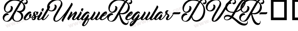BosilUniqueRegular-DVLR字体转换