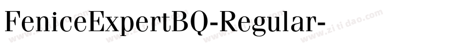 FeniceExpertBQ-Regular字体转换