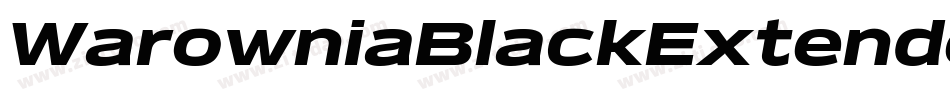 WarowniaBlackExtendedOblique-AdmA字体转换