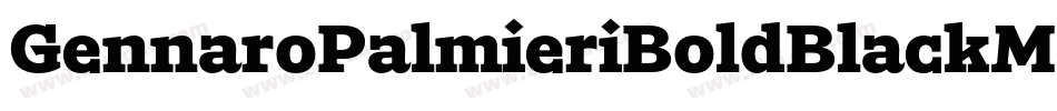 GennaroPalmieriBoldBlackMedium-qpw0字体转换 GennaroPalmieriBoldBlackMedium-qpw0字体转换