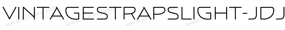 VintageStrapsLight-JdJK字体转换