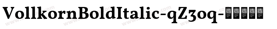 VollkornBoldItalic-qZ3oq字体转换