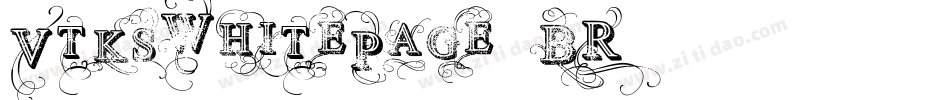 VtksWhitePage-9BR2字体转换
