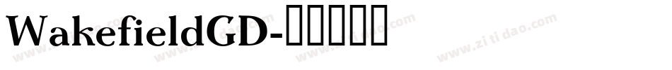 WakefieldGD字体转换