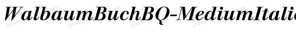 WalbaumBuchBQ-MediumItalic字体转换