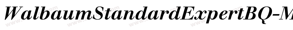 WalbaumStandardExpertBQ-Medium字体转换