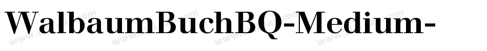 WalbaumBuchBQ-Medium字体转换