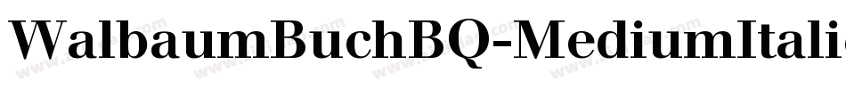 WalbaumBuchBQ-MediumItalic字体转换