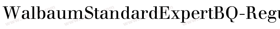 WalbaumStandardExpertBQ-Regular字体转换