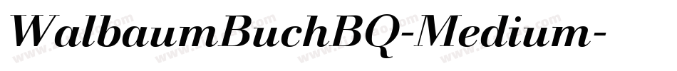 WalbaumBuchBQ-Medium字体转换