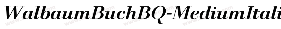 WalbaumBuchBQ-MediumItalic字体转换