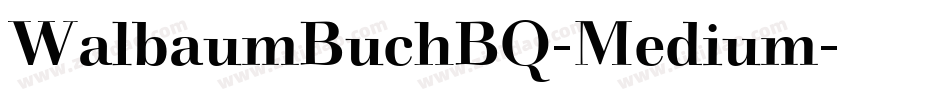 WalbaumBuchBQ-Medium字体转换